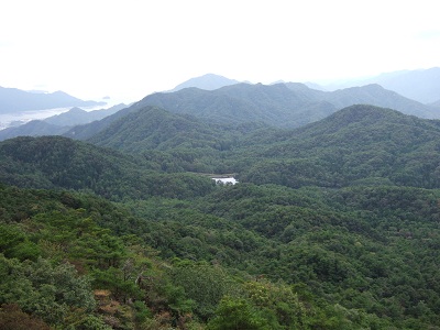 �g�}���T�N��