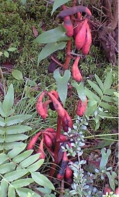 �y������