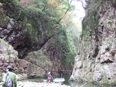 ��i�ꂩ�牎��